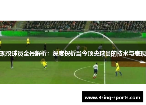 现役球员全景解析：深度探析当今顶尖球员的技术与表现